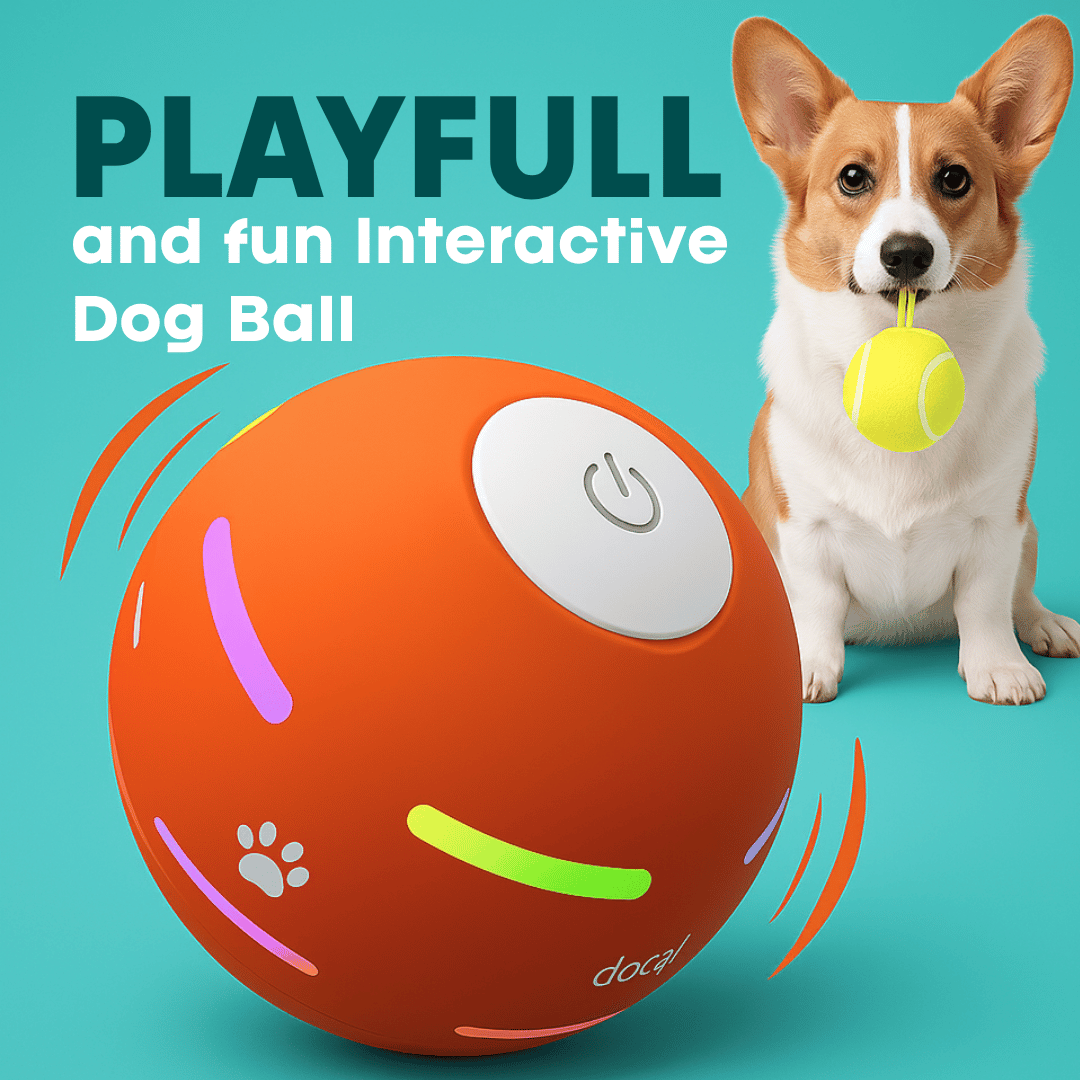 DOG’S INTERACTIVE BALL
