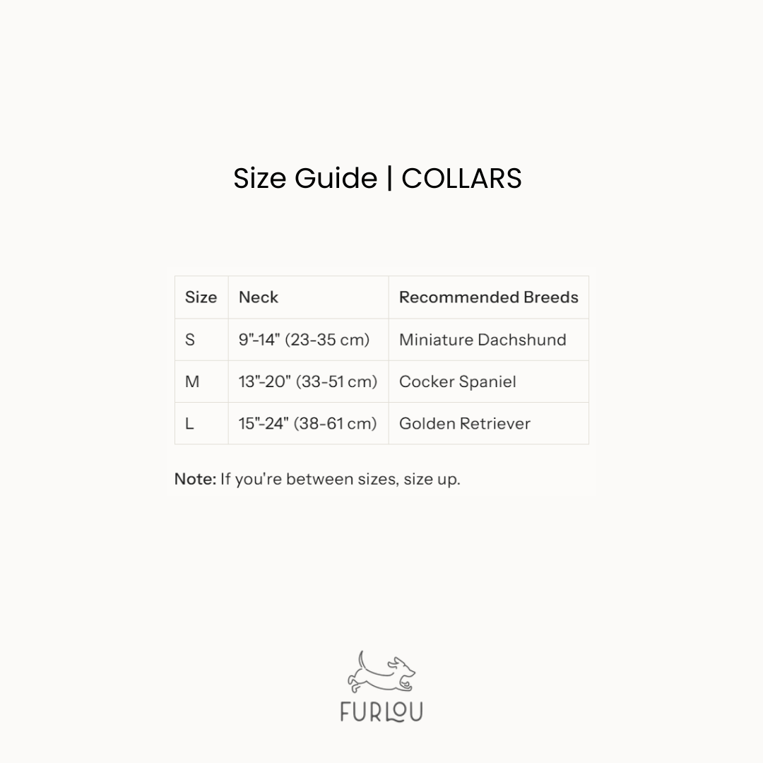 Yellow Velvet Dog Collar with Chic Gold Hardware - Image 3