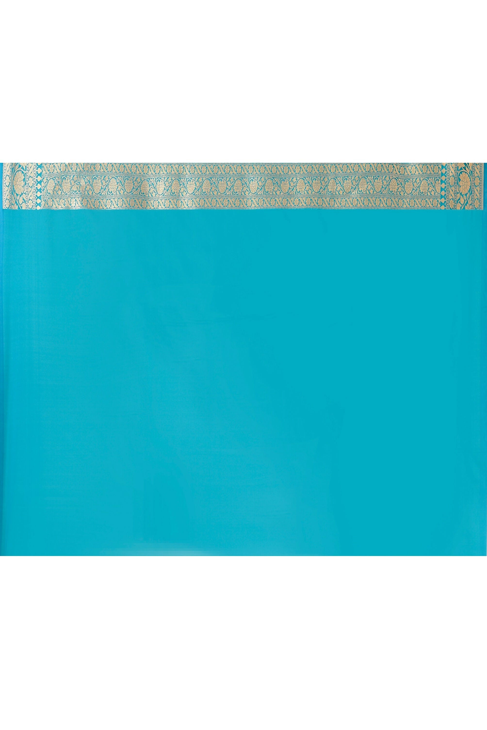 Aqua Soft Silk Handloom Banarasi Saree