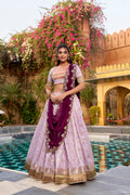 Pink Slub Kota Zari Weaving Lehenga Choli with Paithani Border