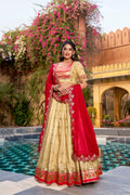 Yellow Slub Kota Lehenga Choli with Paithani Border and Zari Work