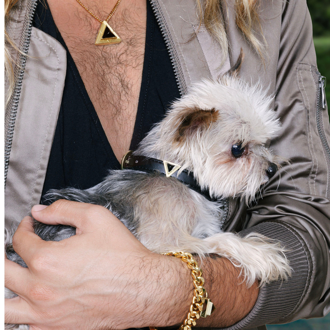 Onyx Triangle Crystal Charm – Gold or Silver | DIPHDA