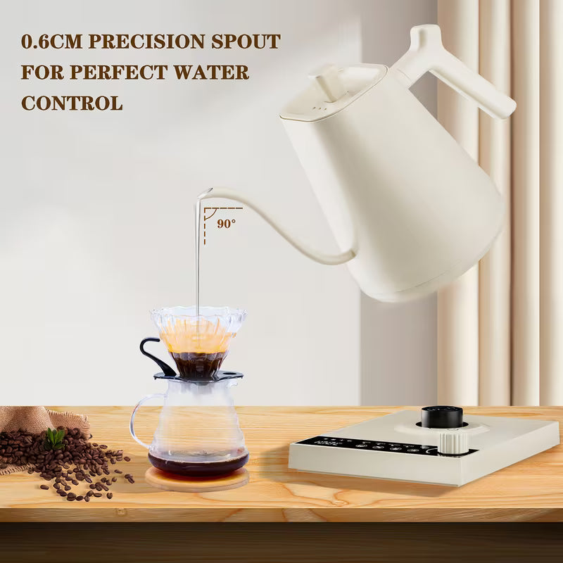 0.6-Liter Gooseneck Electric Kettle with Precision Temperature Control