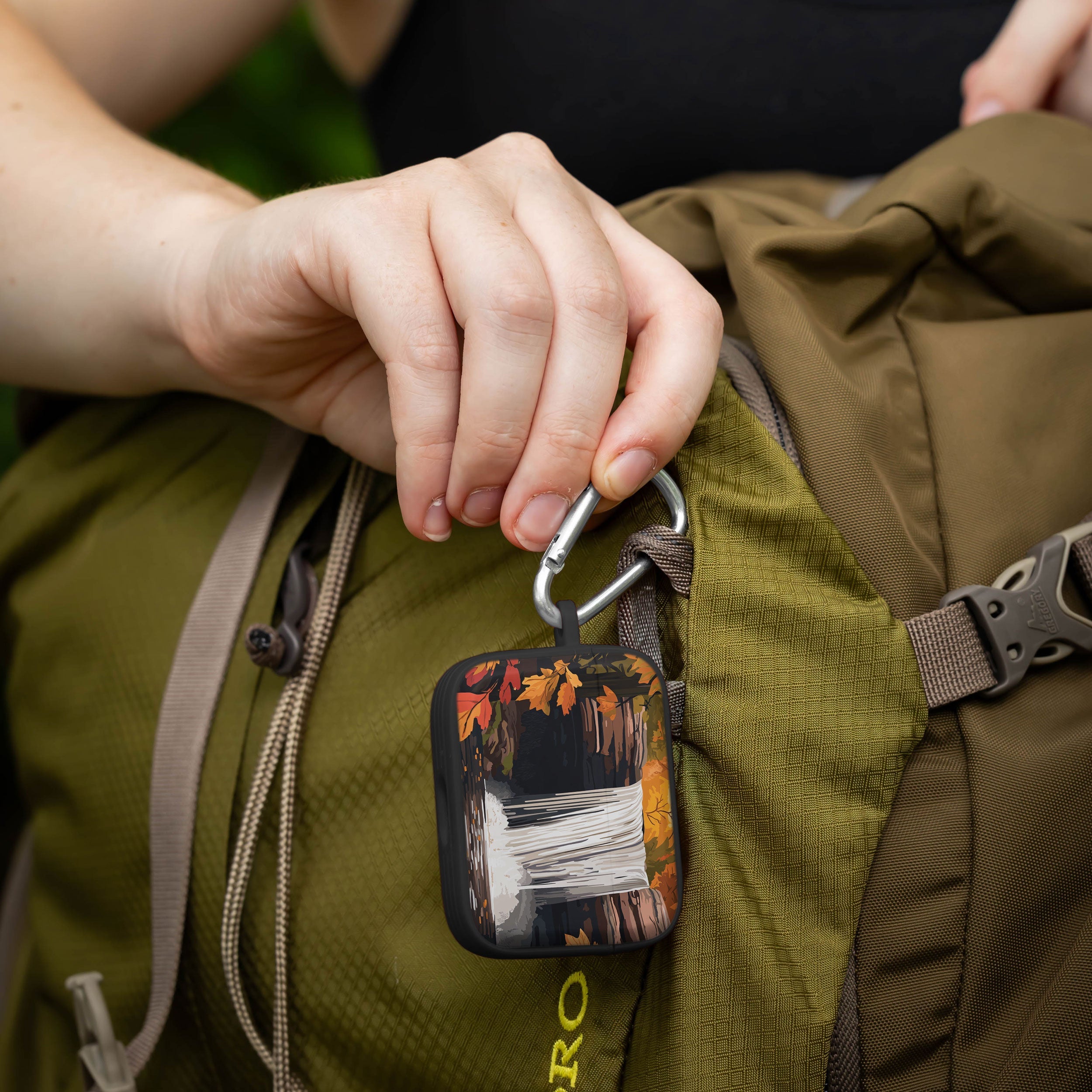 National Parks Cuyahoga Valley HDX Apple Airpods Pro 1 & 2 Case Cover