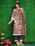 Brown Pakistani printed kurta with matching pants and dupatta in cambric fabric
