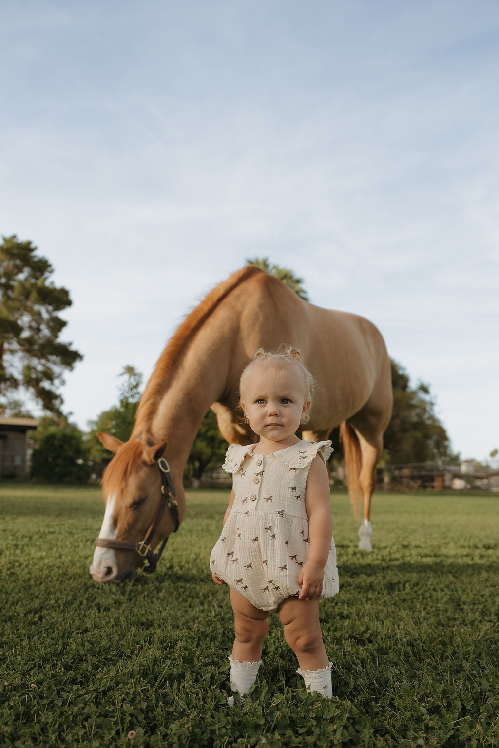 Baby wearing a cream muslin romper with a brown horse print standing in a grassy field with a horse in the background