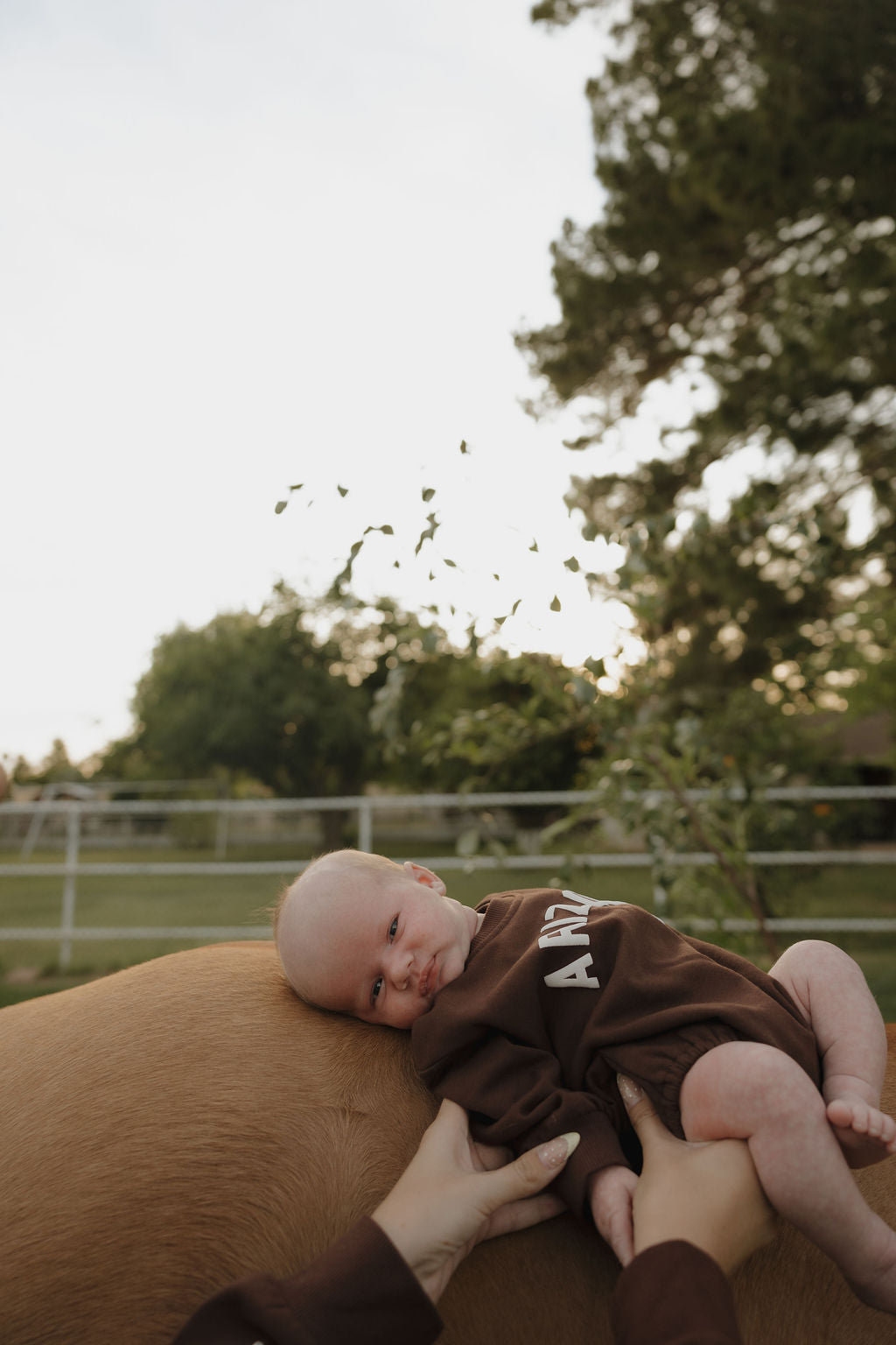 Baby wearing a chocolate brown sweatshirt romper with Arizona graphic outdoors