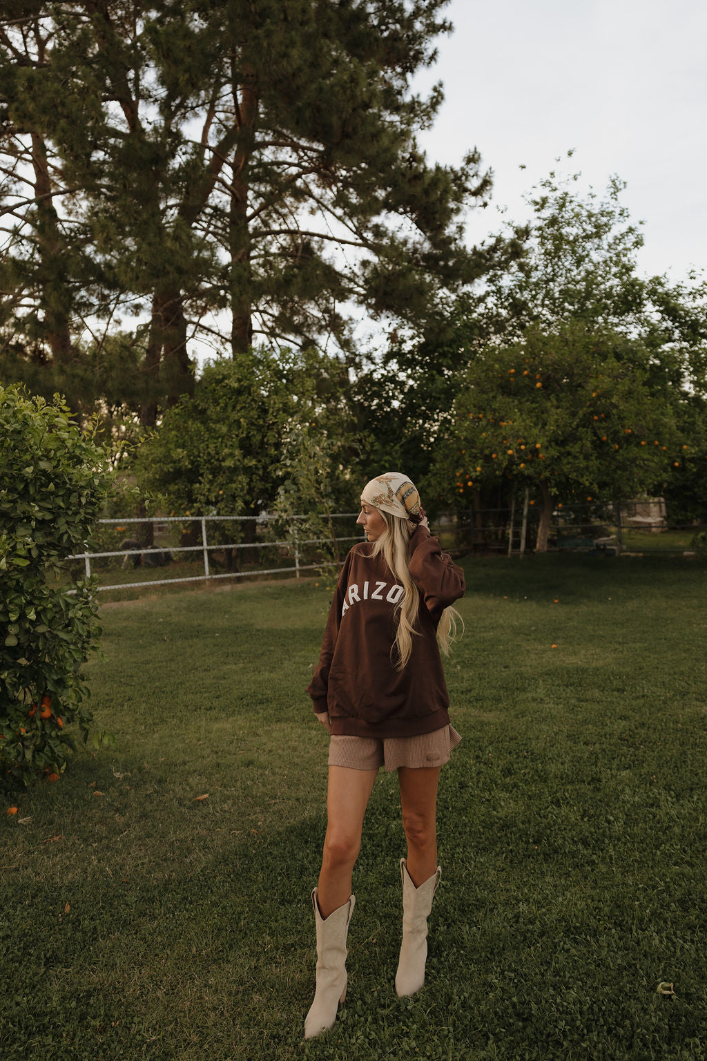 Arizona Brown Graphic Sweatshirt - Relaxed Fit Crewneck - Image 4