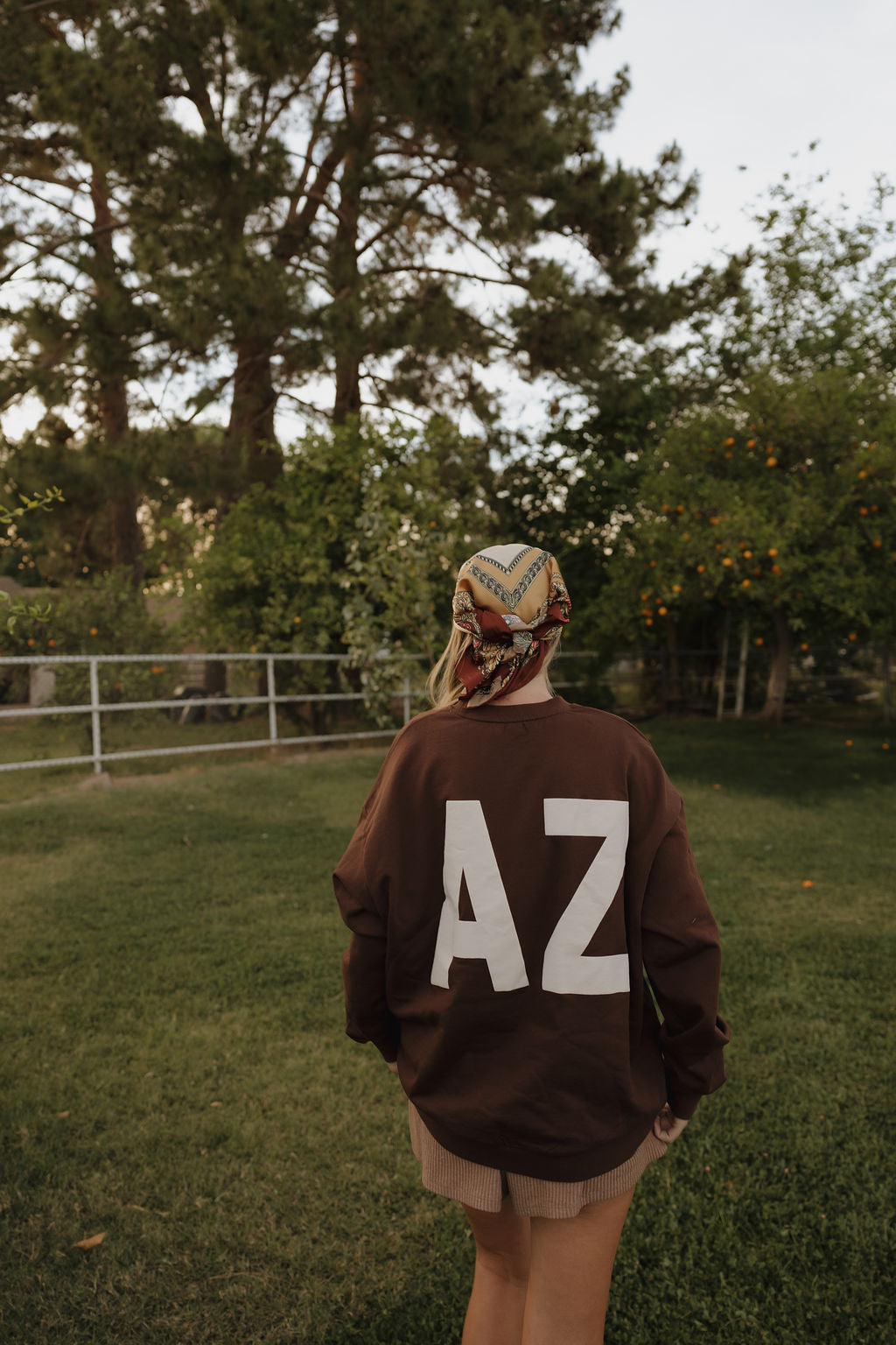 Arizona Brown Graphic Sweatshirt - Relaxed Fit Crewneck - Image 3