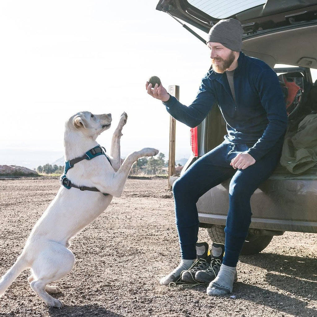 Men's Midweight 100% Merino Wool Thermal Base Layer Bottoms