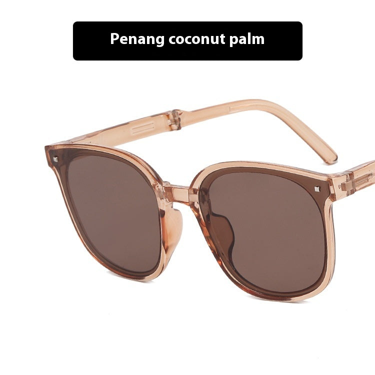 Foldable Sunglasses with Case Lightweight Portable Travel Eyewear