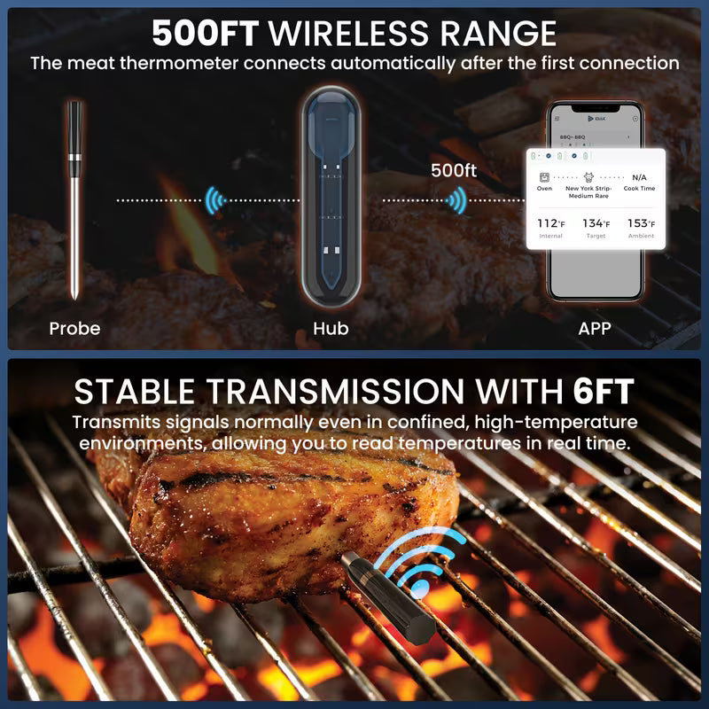 Wireless Meat Thermometer with Dual Sensor CP10