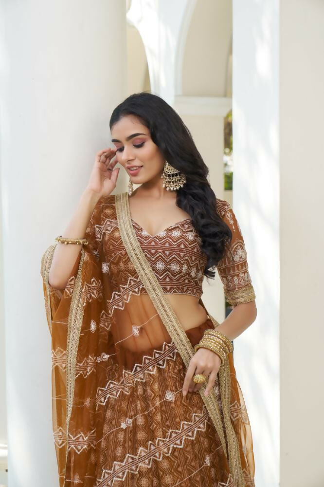Brown Butterfly Net Lehenga Choli with White Thread Embroidery