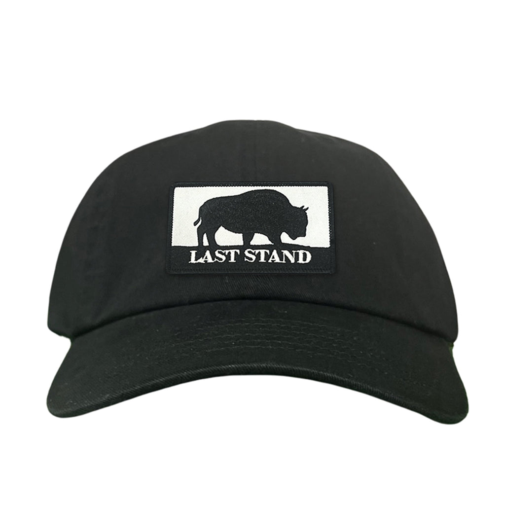 Bison Graphic Curved Bill Trucker Hat Mesh Snapback Cap