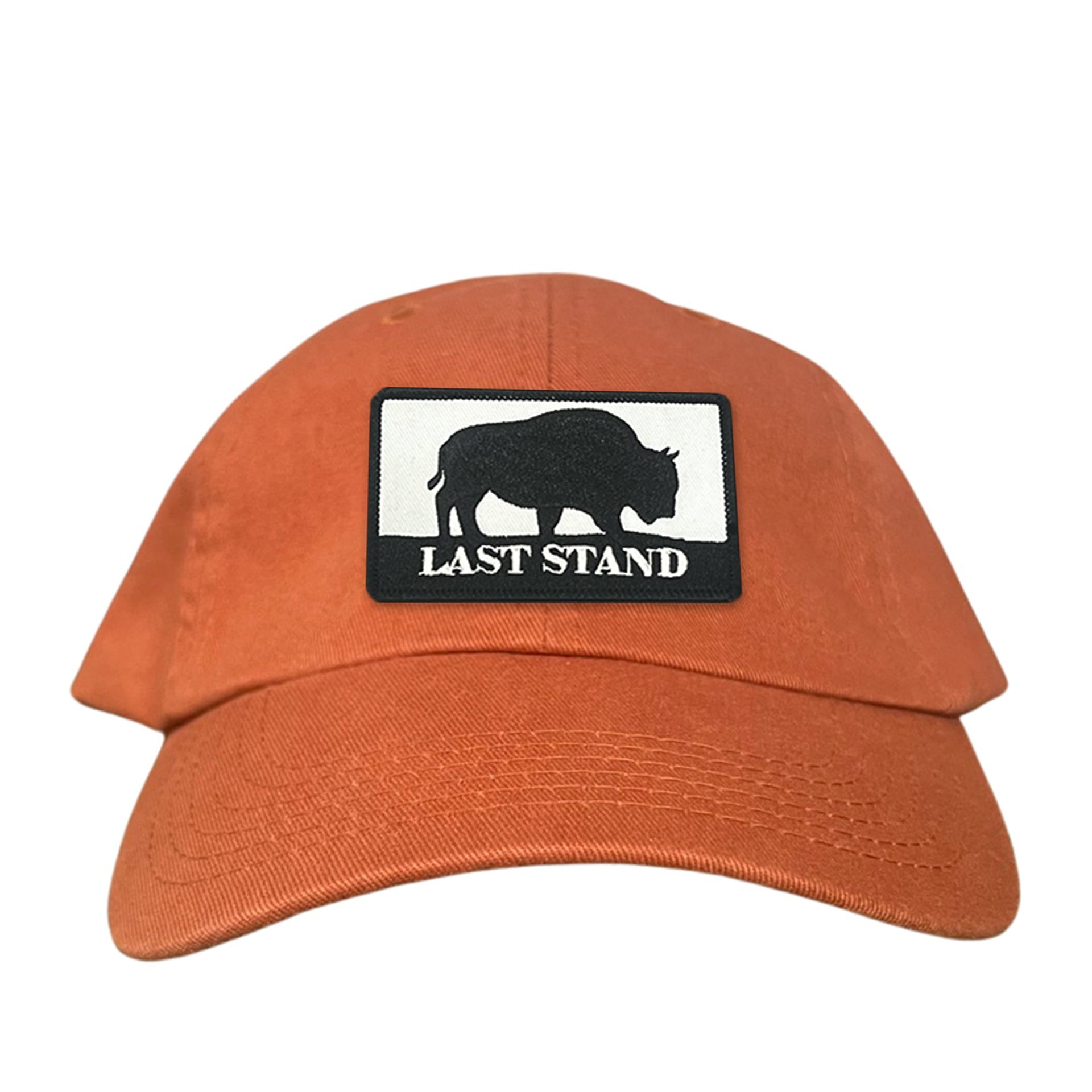 Bison Graphic Curved Bill Trucker Hat Mesh Snapback Cap