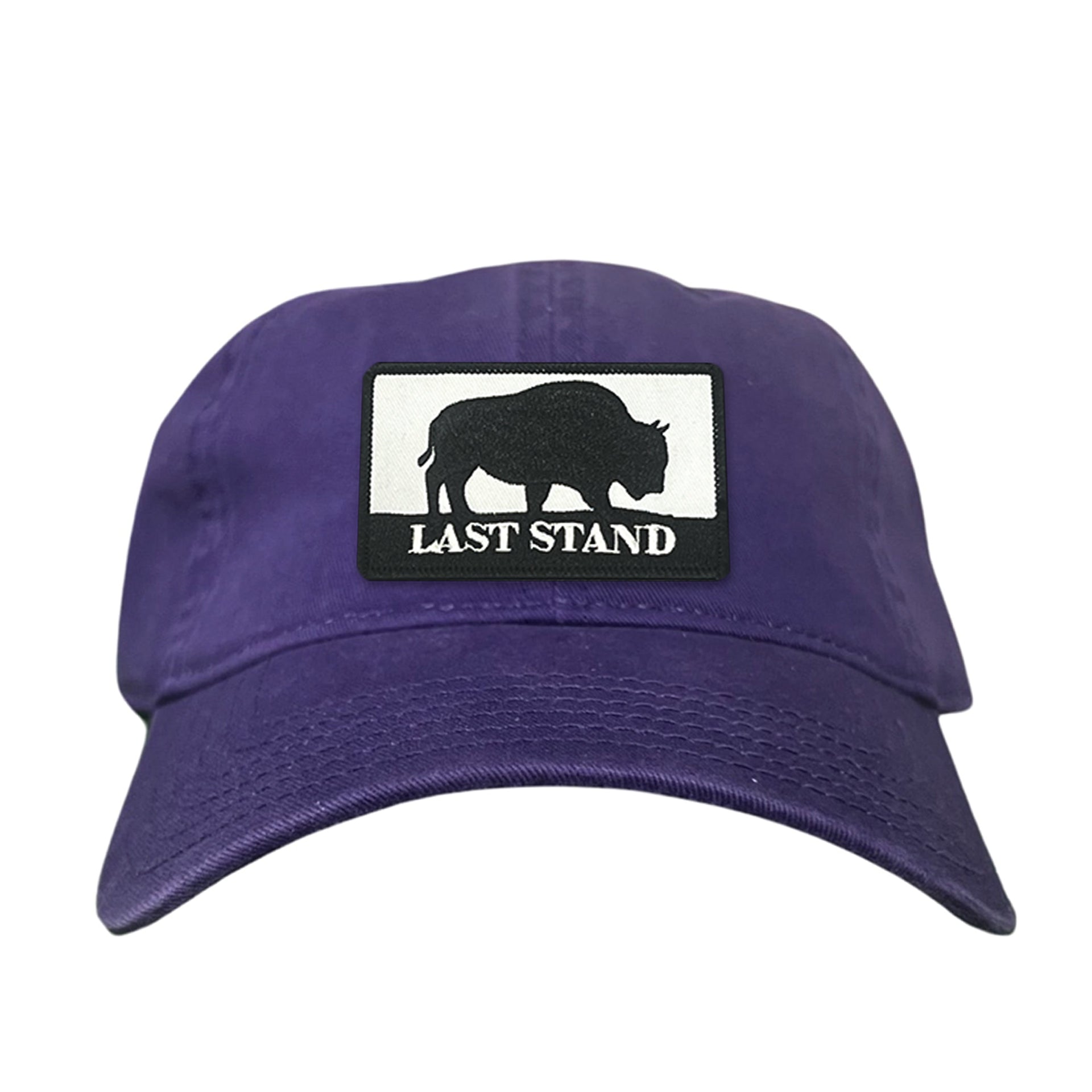 Bison Graphic Curved Bill Trucker Hat Mesh Snapback Cap