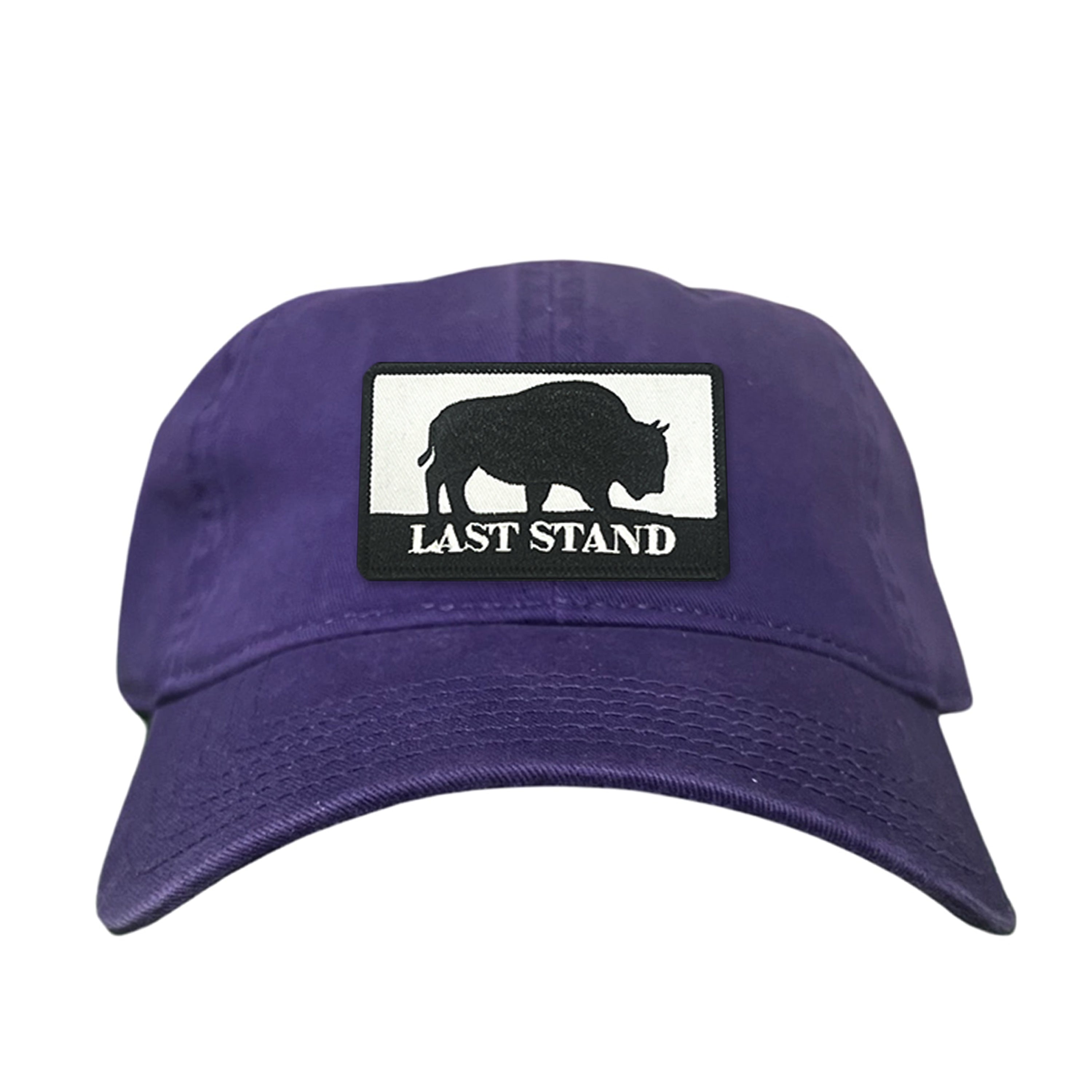 Bison Graphic Curved Bill Trucker Hat Mesh Snapback Cap