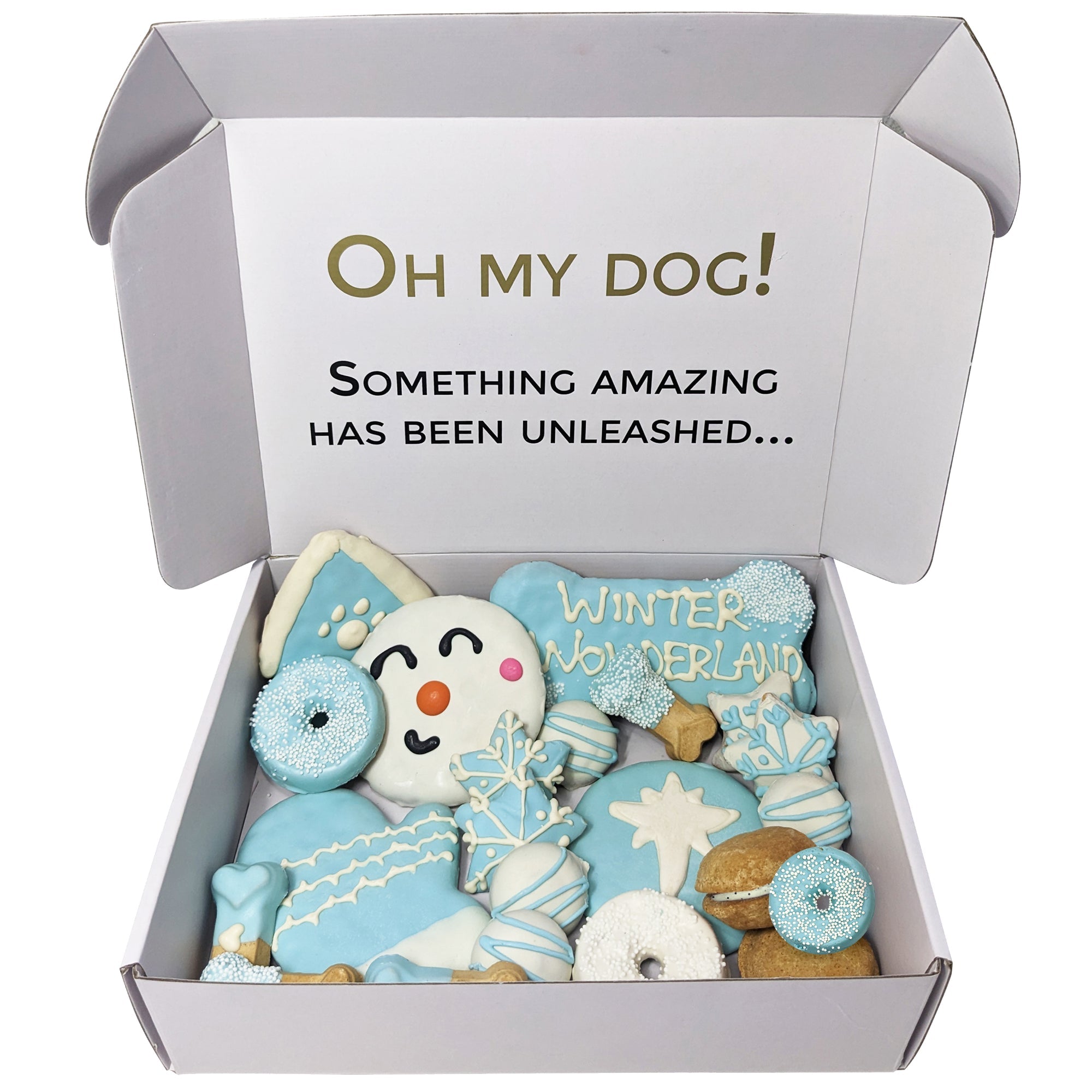 Winter Themed Dog Treats Gift Box Snowflake and Snowman Assortment - Image 3