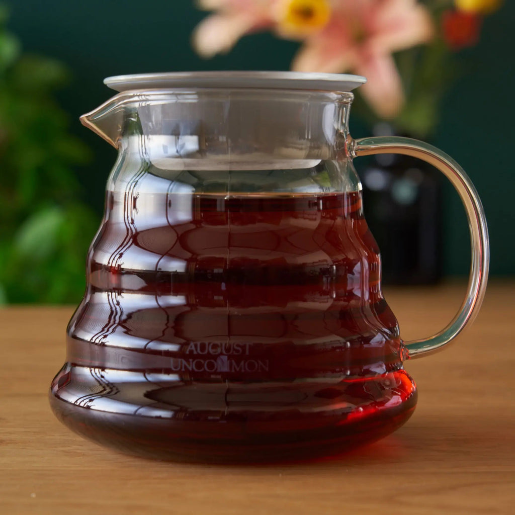 Two Cup Glass Teapot for Loose Leaf Brewing 20oz Capacity