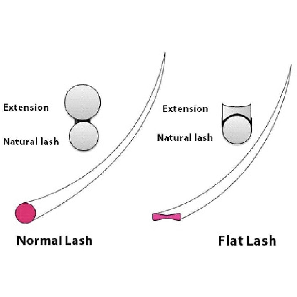 Super Flat Eyelash Extensions 12 Lines 0.20mm D Curl Volume Lashes