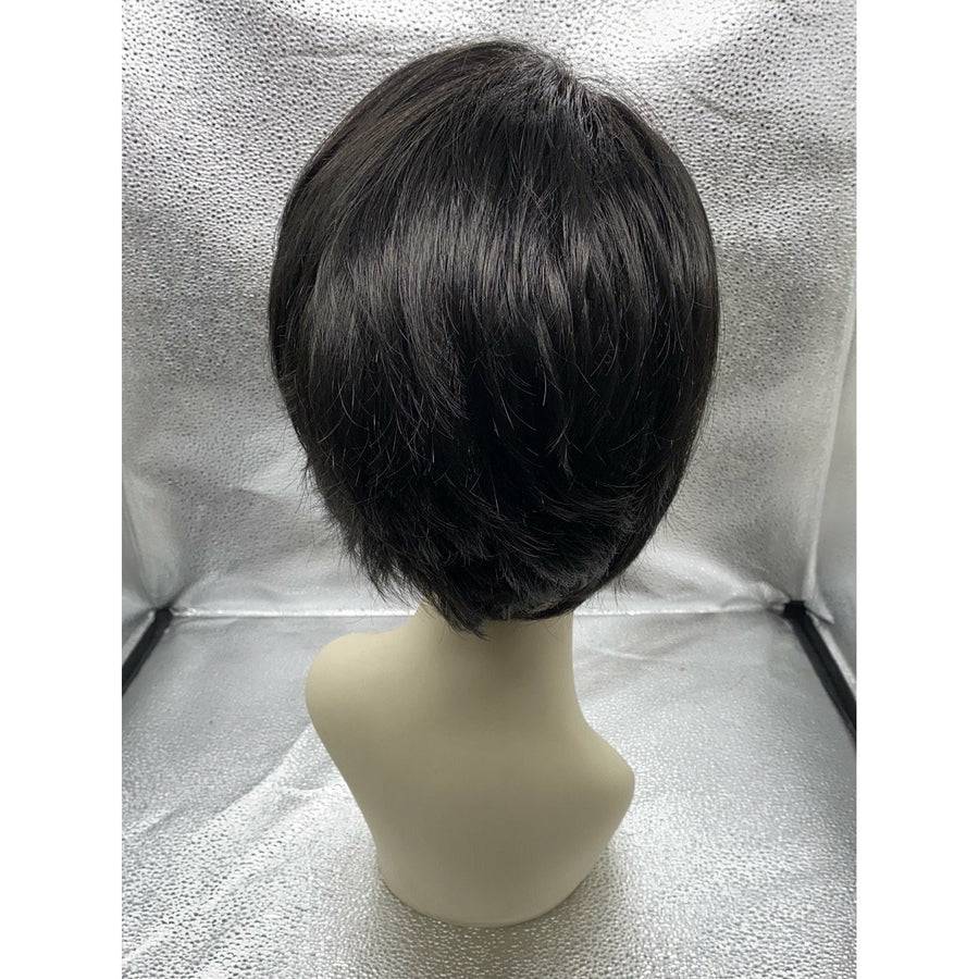 Free Spirit Synthetic Wig with Monofilament Top in Brown & Blonde