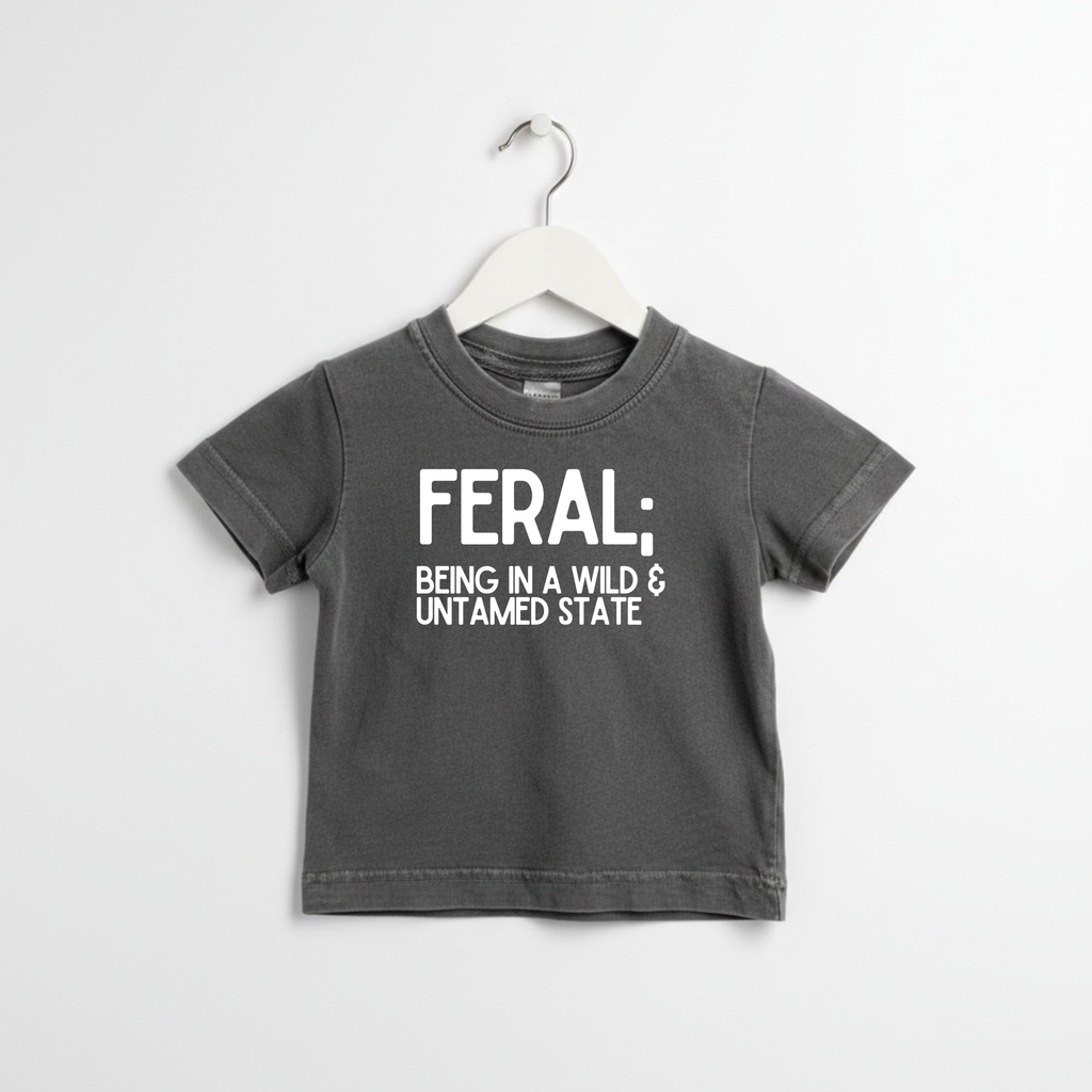FERAL Definition streetwear graphic tee in charcoal grey, front view
