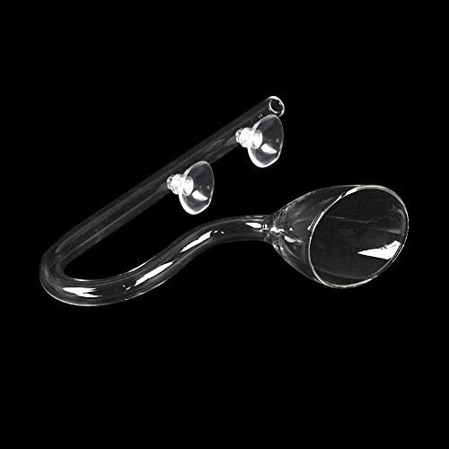 FZONE Aquatic Glass Lily Pipe Set