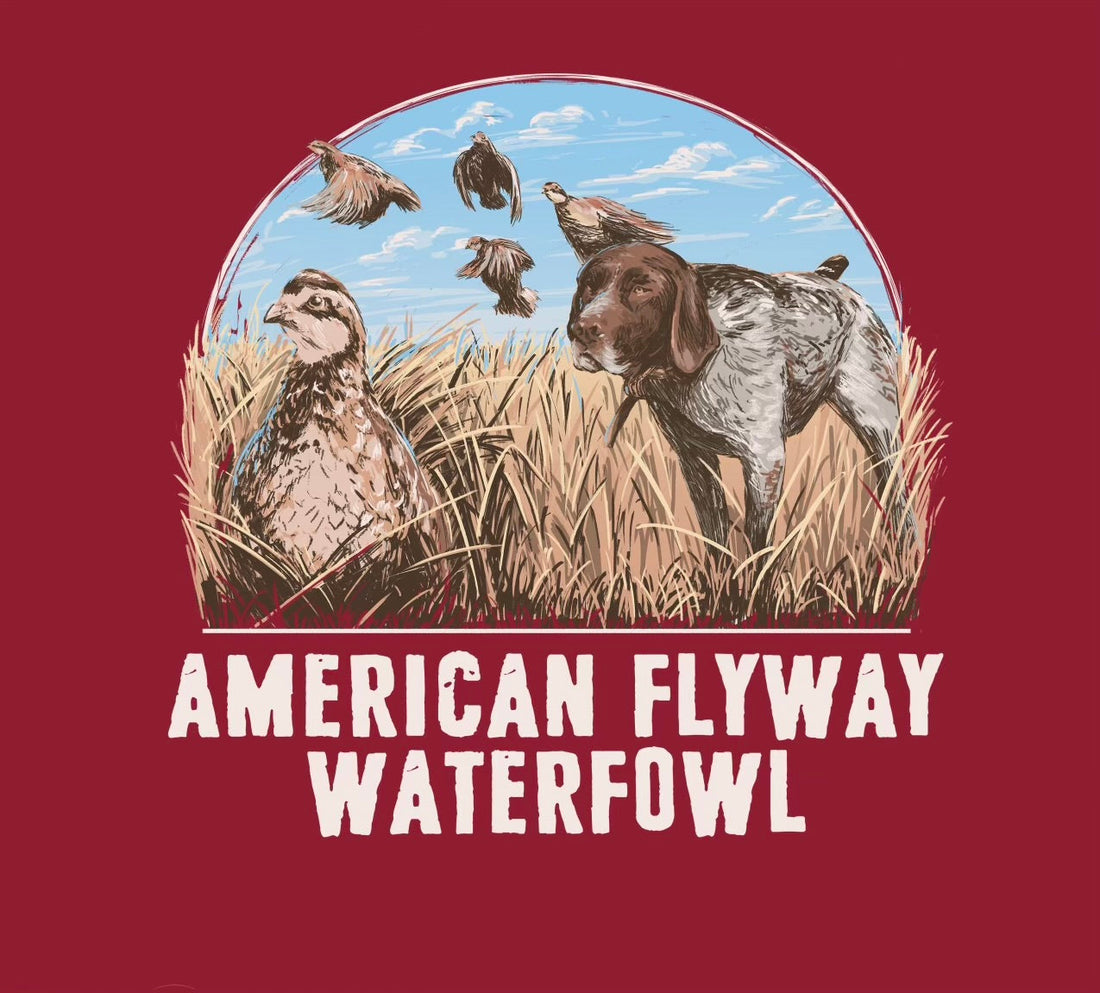 Youth Cardinal graphic t-shirt featuring a quail and pointer dog hunting scene