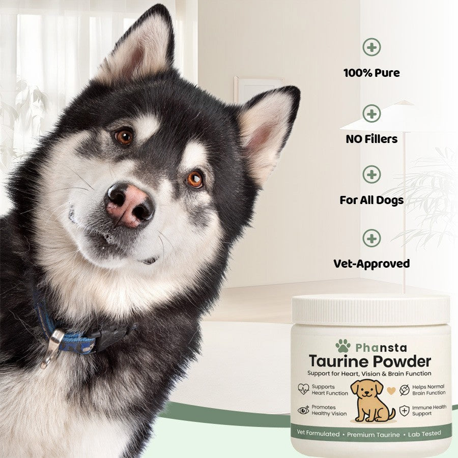 PHANSTA Taurine Powder For DogsGentle Care For Your Dogs Comfort