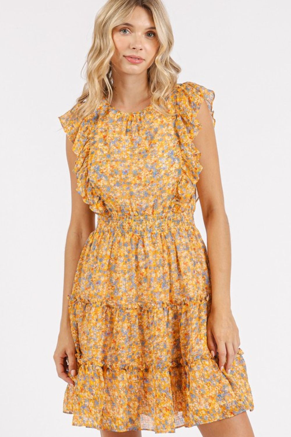 Ditsy Floral Print Ruffle Chiffon Mini Dress