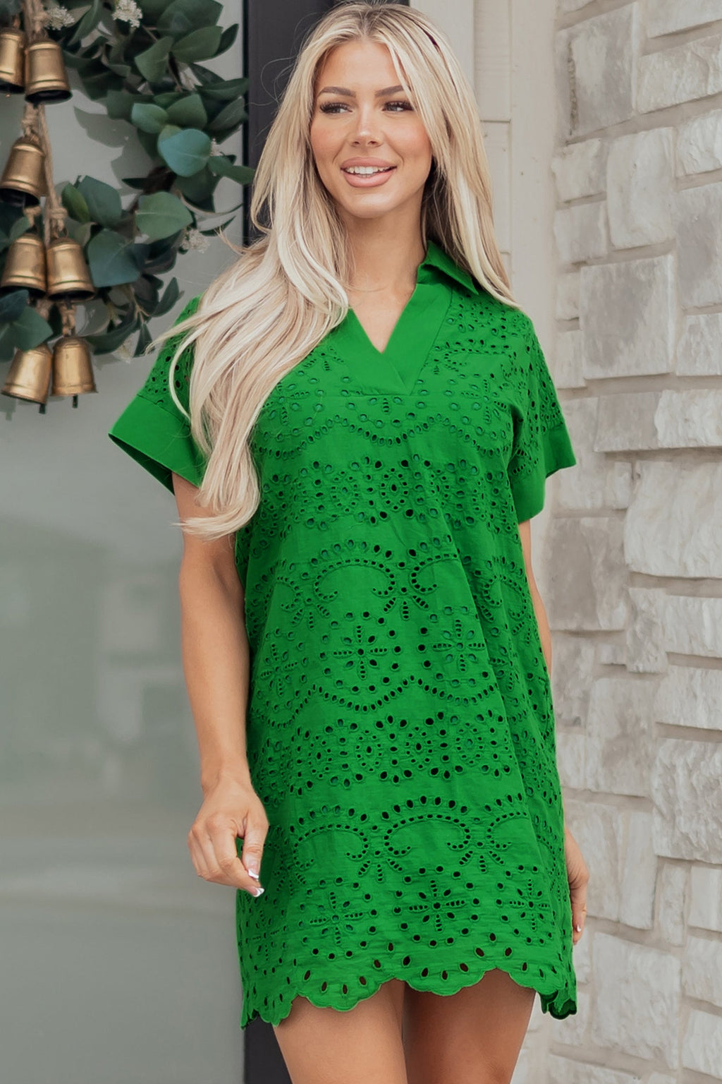 Solid Embroidered Eyelet Collared V-Neck Mini Dress