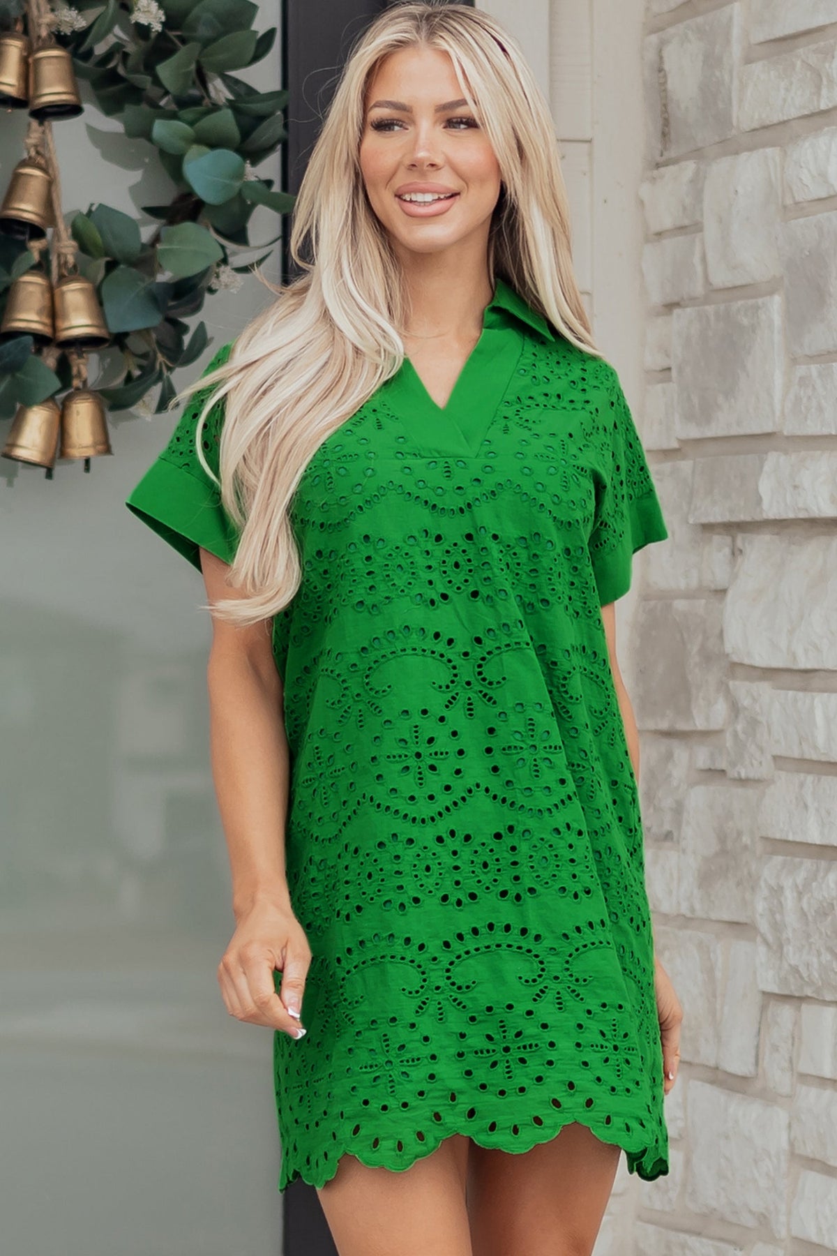 Solid Embroidered Eyelet Collared V-Neck Mini Dress