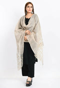 Beige Banarsi cotton dupatta with elegant woven patterns