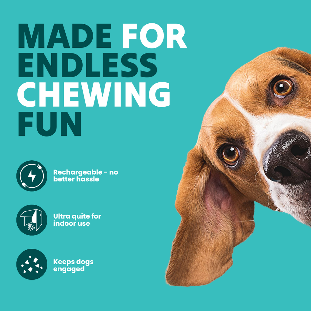 The Chase Buddy Dog Boredom Stimulating Toy