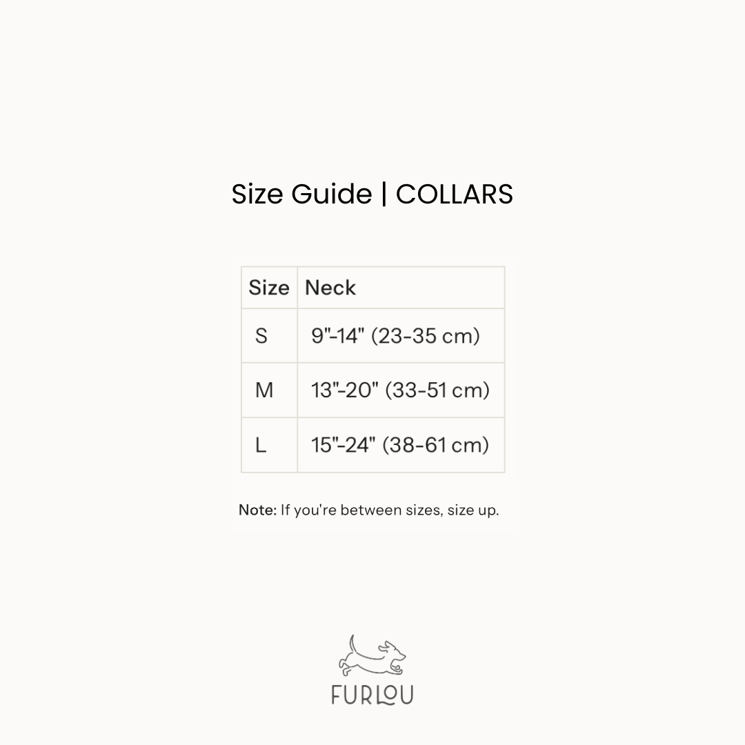 'Green' - Canvas Dog Collar