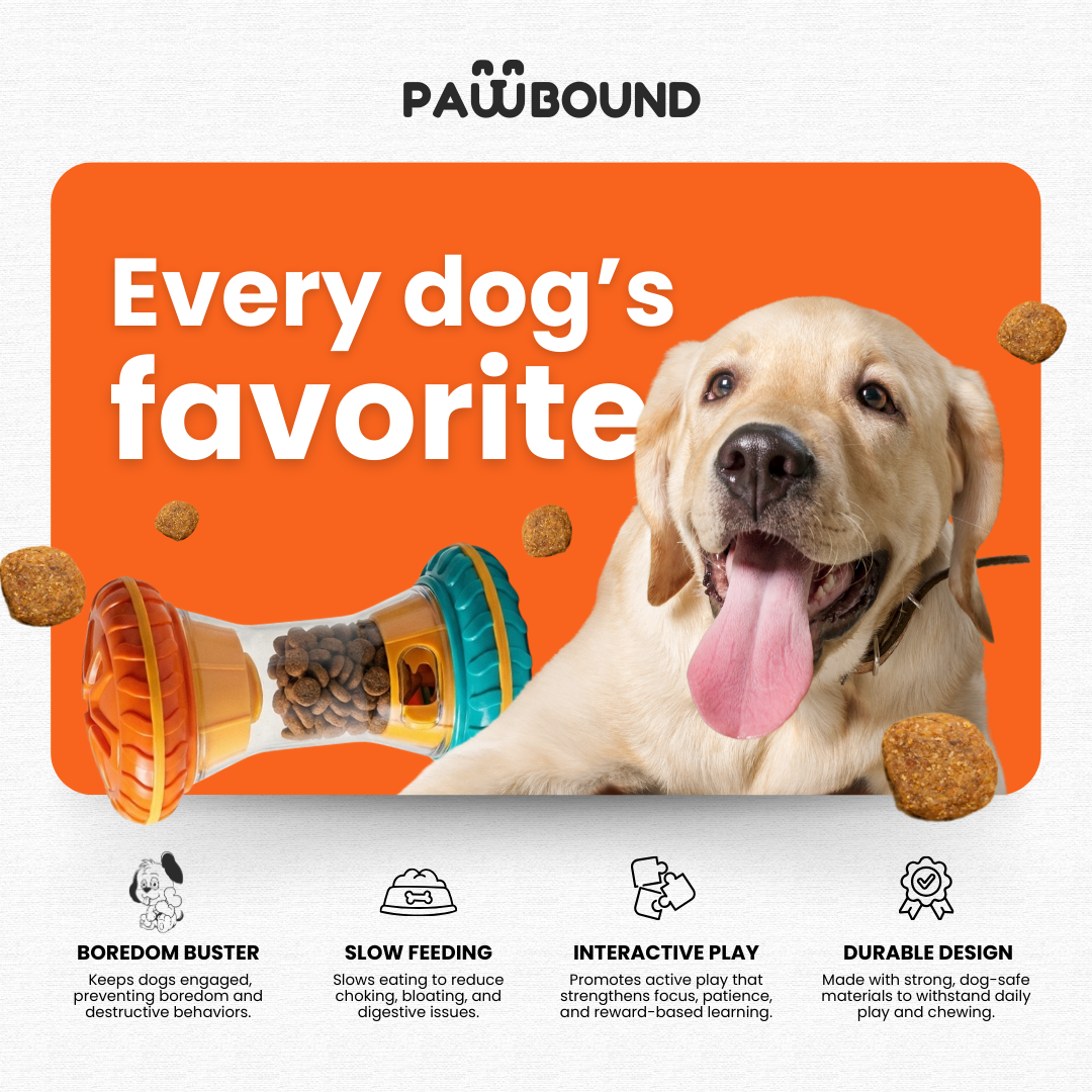 Paw Bounds™ Interactive Dog Puzzle Toy