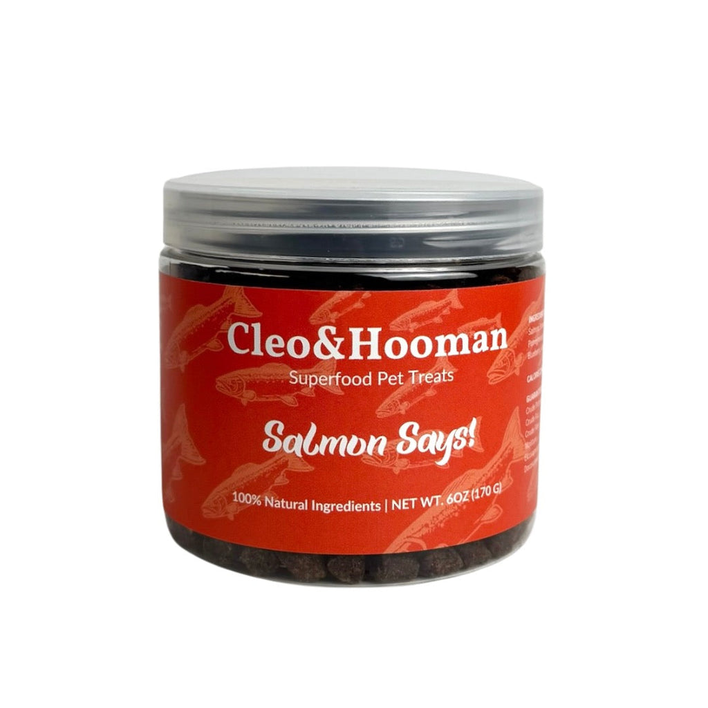 Bright red 6oz bag of Salmon Says! Superfood Pet Treats with minimalist white typography.