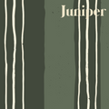 Lodge Wallpaper by Cassandra Zaniboni Removable Peel and Stick