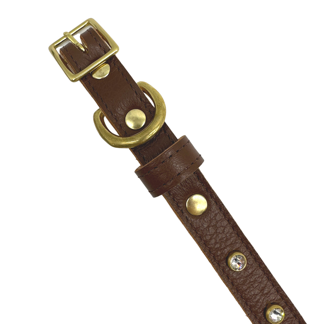 Leather Dog Collar