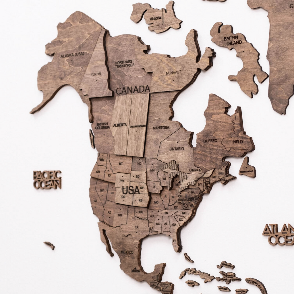 World Map Wall Art Set with Flag Push Pins in Brown Tan Beige