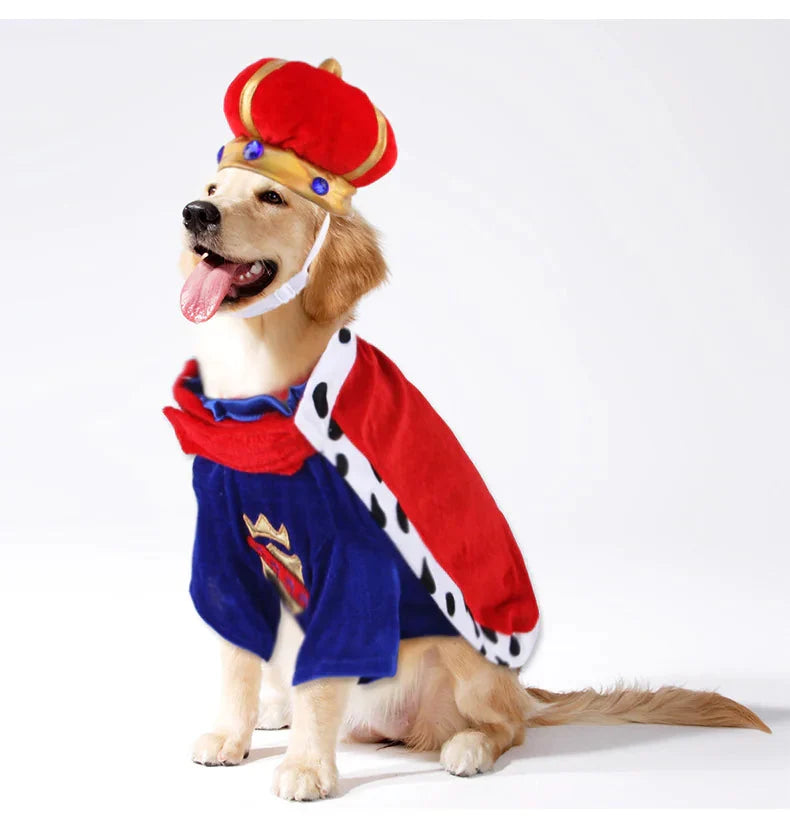 Pet King Cape Accessory Set for Dog