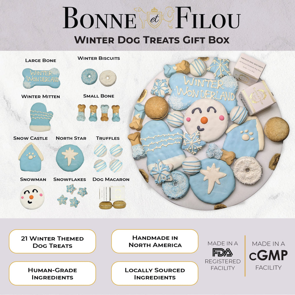 Winter Themed Dog Treats Gift Box Snowflake and Snowman Assortment - Image 4
