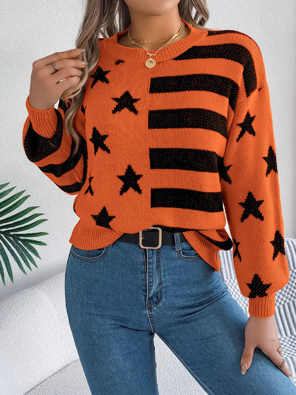 Stars and Stripes Pattern Casual Round Neck Sweater