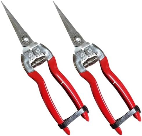 Garden Guru Straight Stainless Steel Pruner Pruning Shears Clippers Snips Sharp