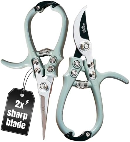 Modern Sprout Hand Pruners+Shears Set w/Blister