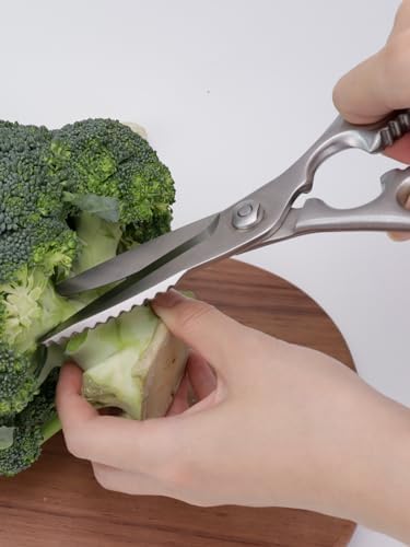 Kitchen Scissors, Forged Stainless Steel Shears