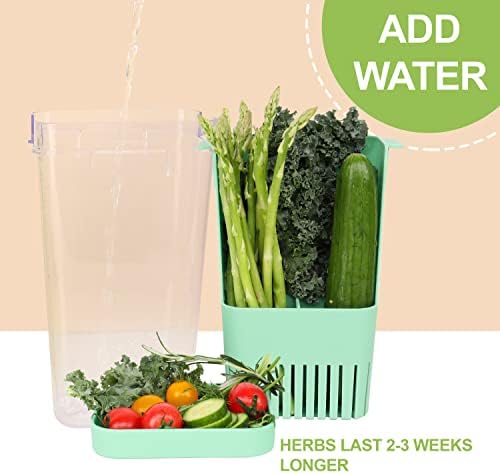 LUVCOSY 2 Pack Herb Keeper, BPA-Free Plastic Herb Saver