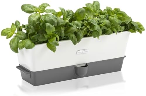 Cole & Mason Burwell Self-Watering Potted Herb Keeper