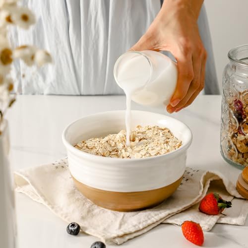 HASENSE Ceramic Cereal Bowls, 20 OZ Soup Bowls