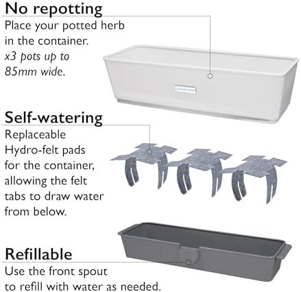 Cole & Mason Burwell Self-Watering Potted Herb Keeper